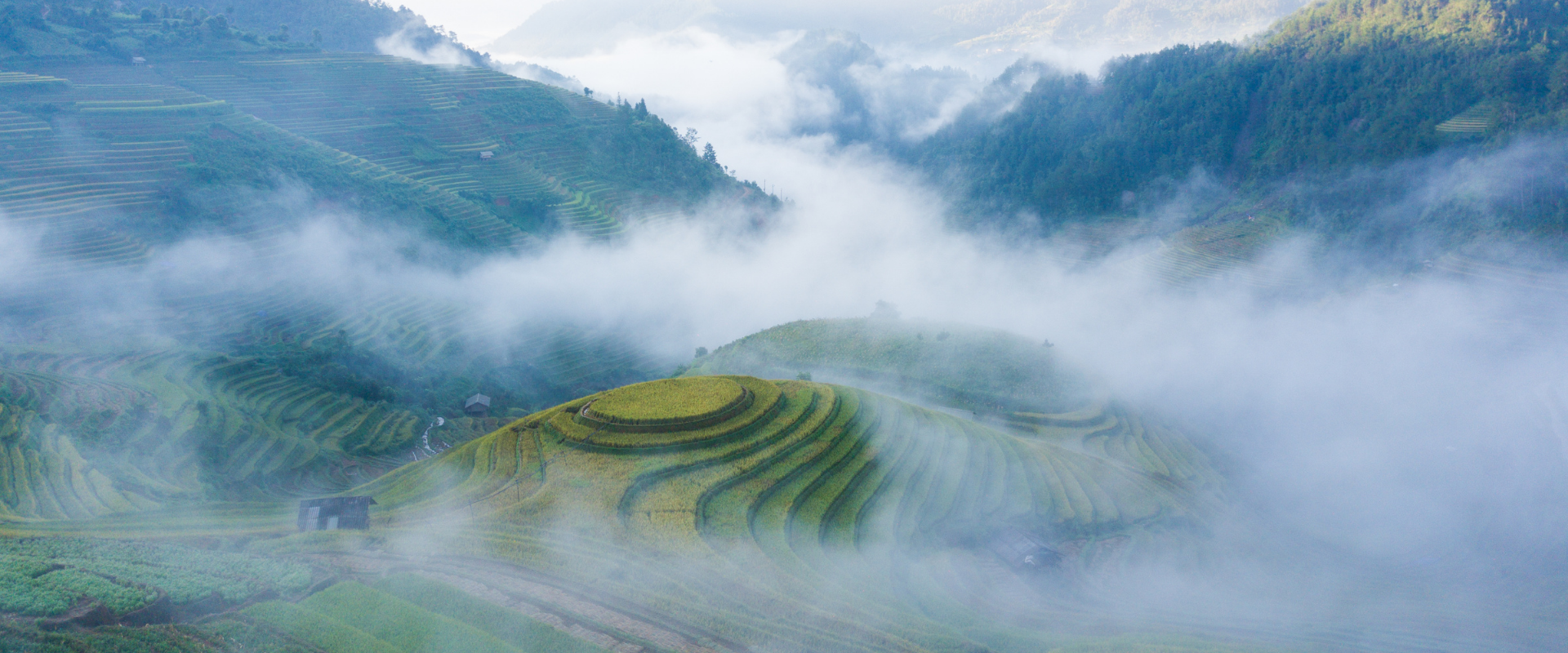 Mu Cang Chai rice terraces