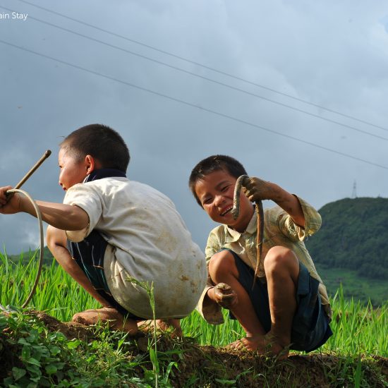 mountainous children