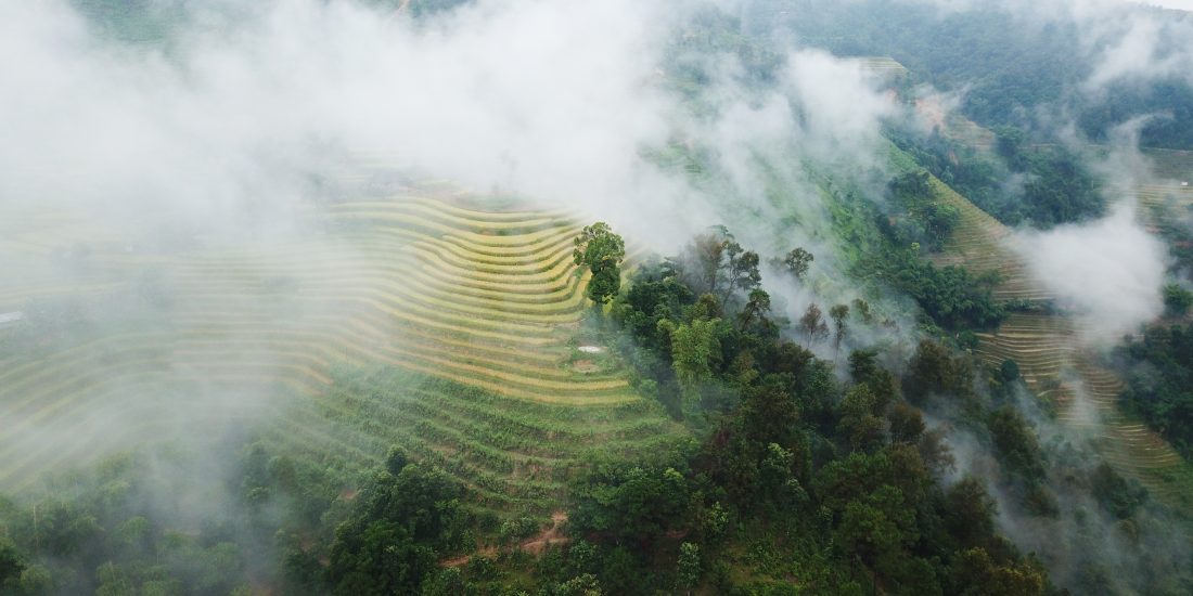 Hoang Su Phi-rice terraces