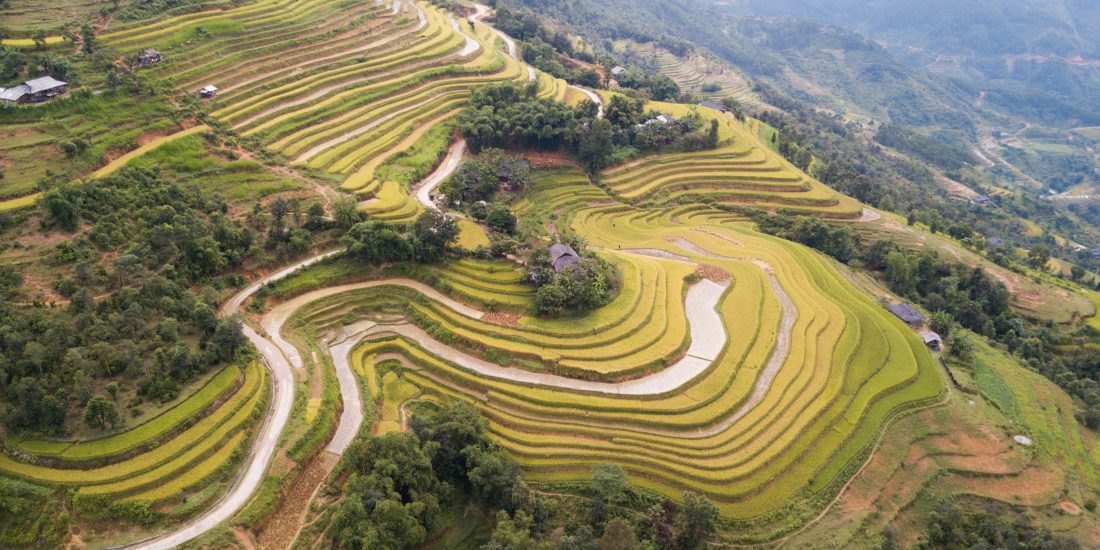Hoang Su Phi-rice terraces