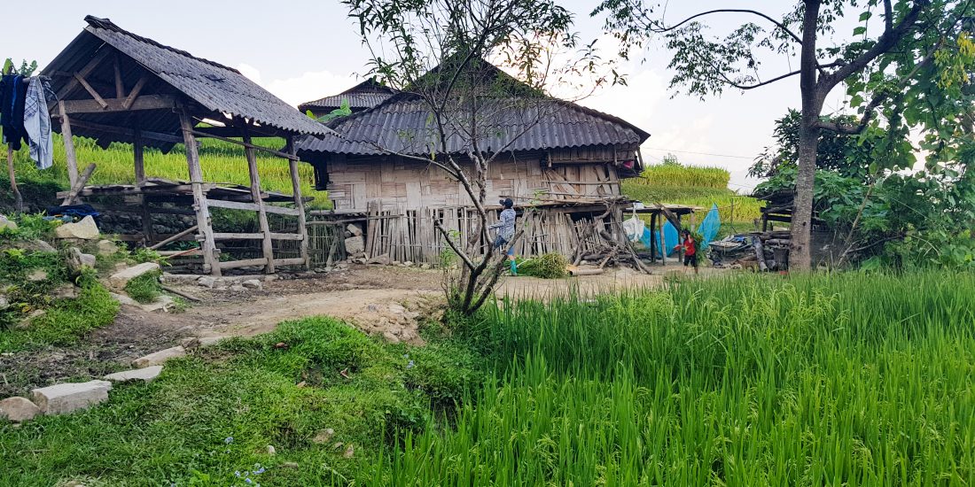 rustic village paddy fields