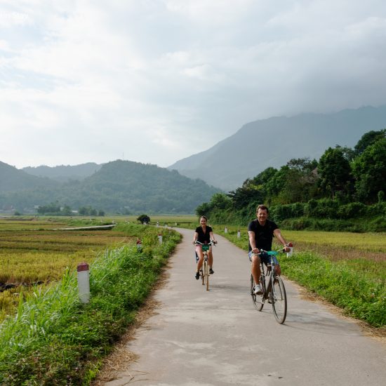 cycling through paddy fields