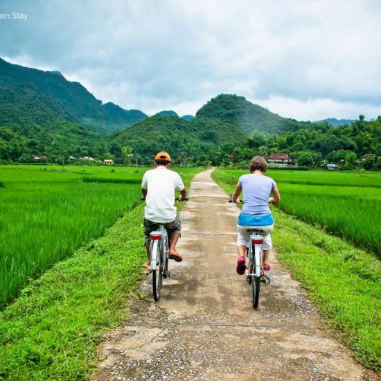 cycling through paddy fields