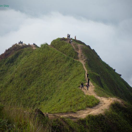 dinasour trail in sea of clouds