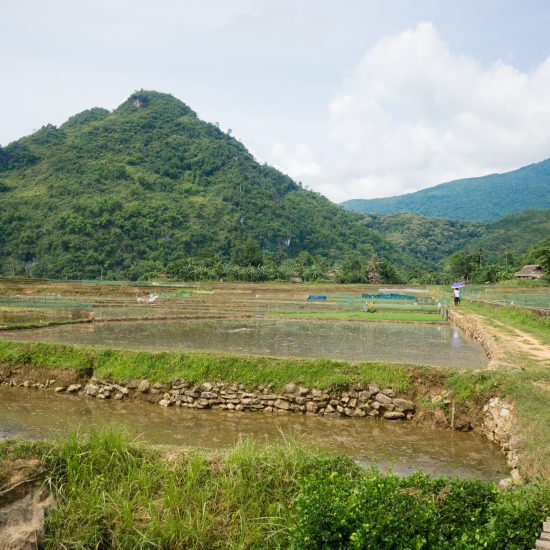 Pu Luong mountain