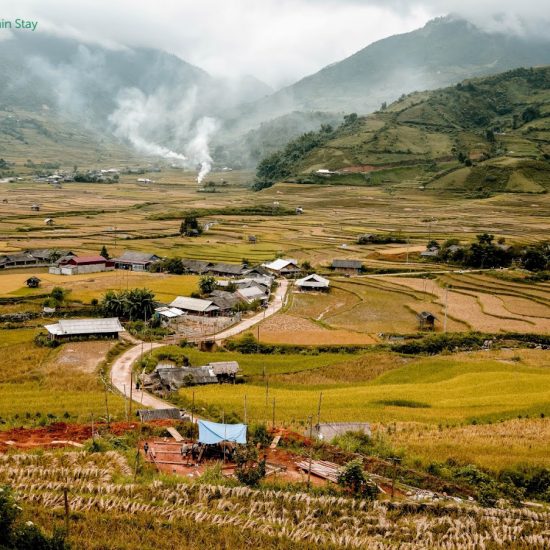 Cao Bang golden rice