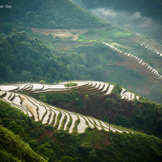 Ta Xua stepped rice fields