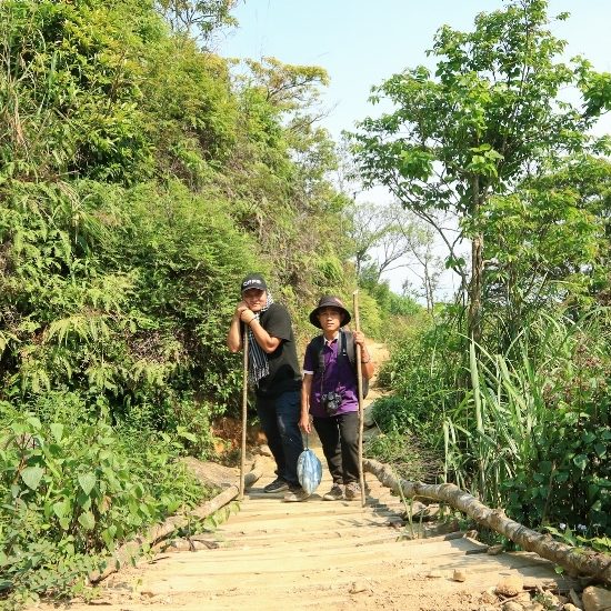 Ta Xua forest trek Ta Xua