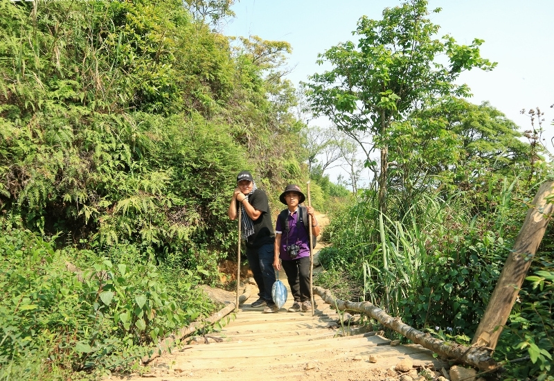 Ta Xua forest trek Ta Xua