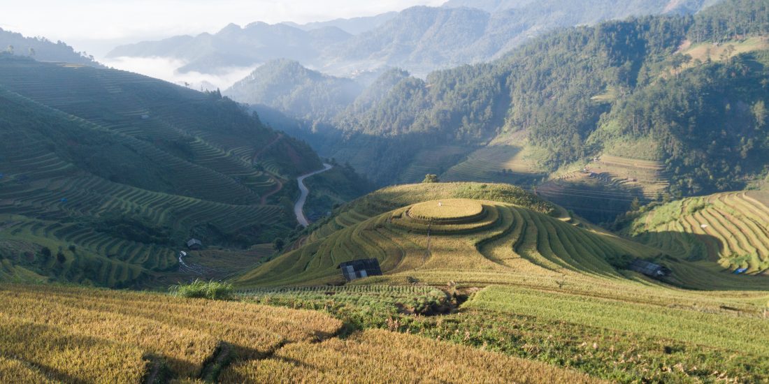 Mu Cang Chai rice terraces