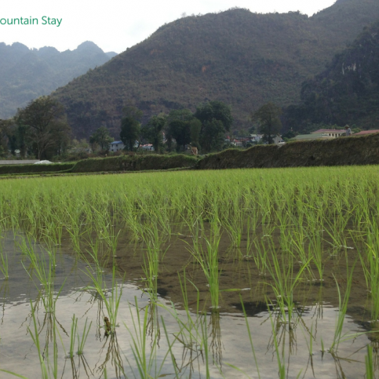 Mai Chau Vietnam