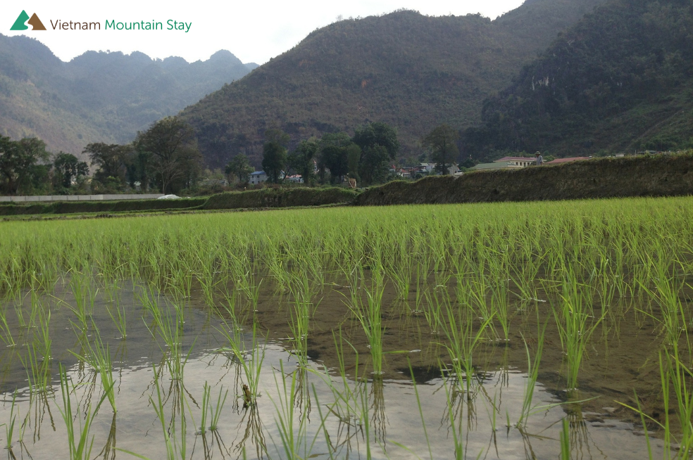 Mai Chau Vietnam